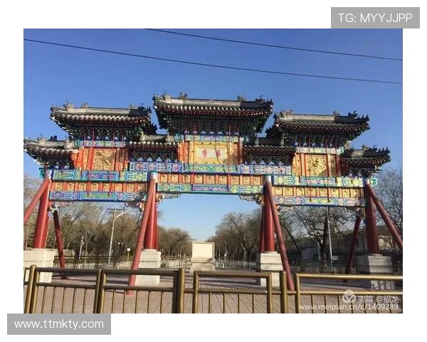 都市1直播:直击城市脉搏,见证真实瞬间